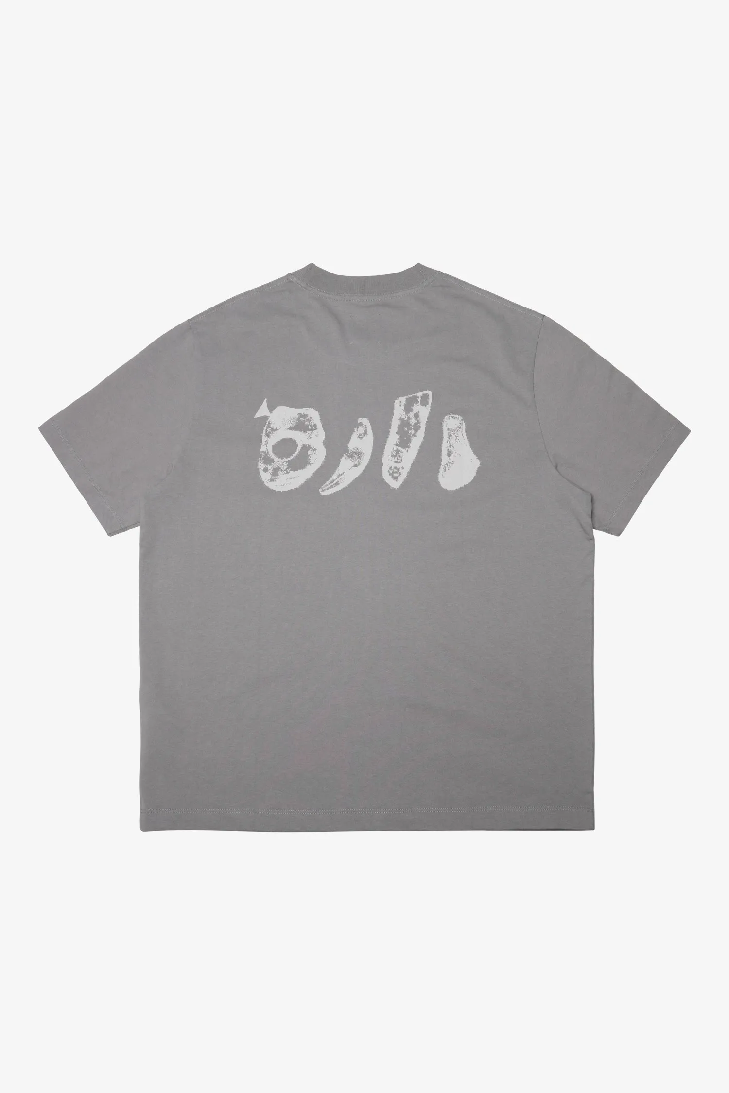 Graphic Boxy Tee